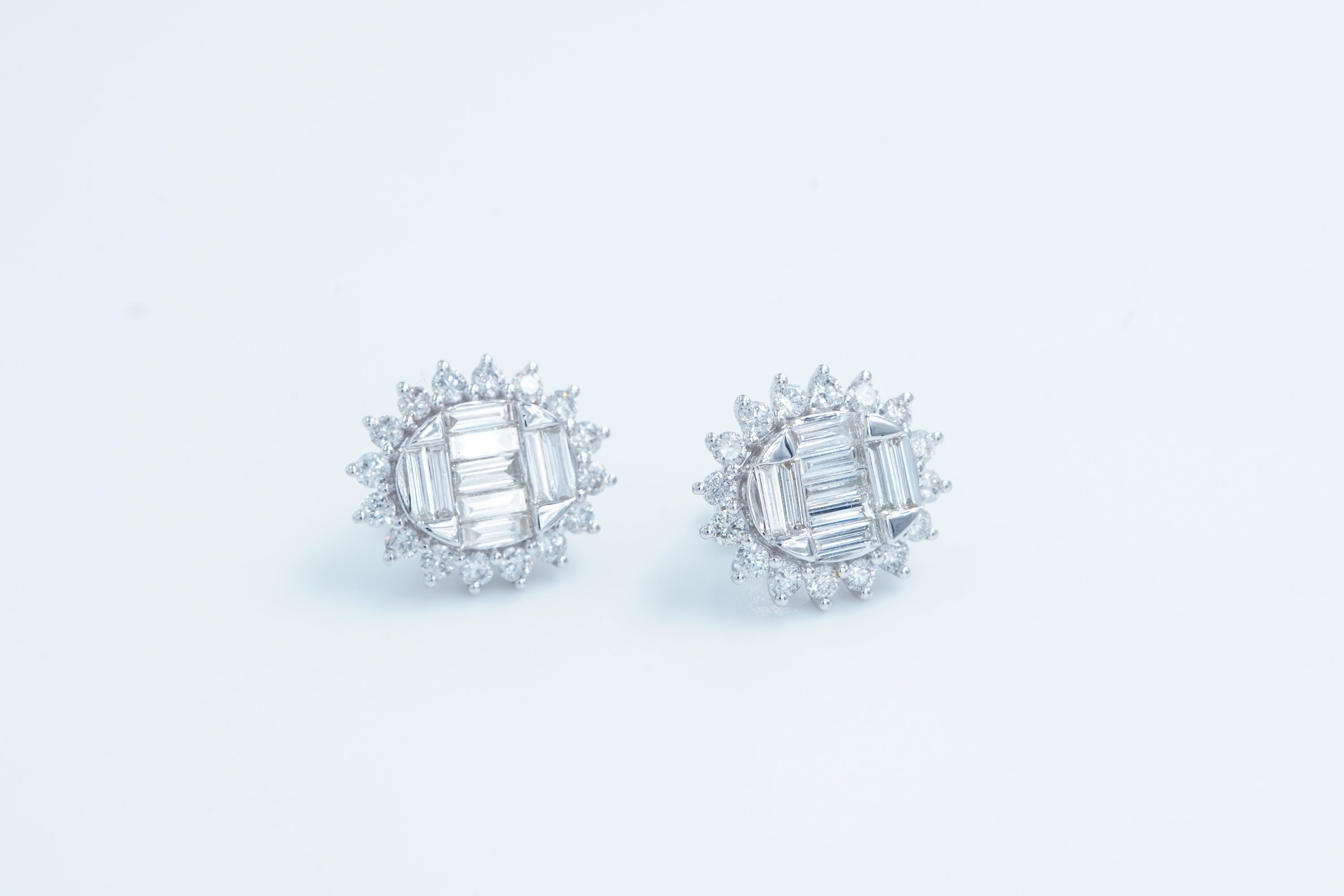 Illusional Beauty Earrings